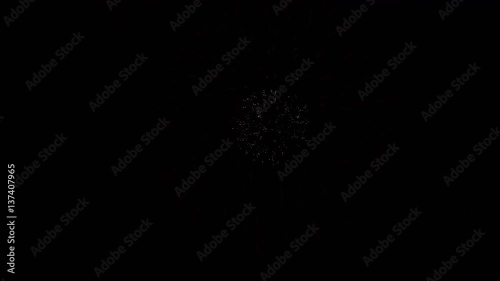 the fireworks in the night sky the fireworks in the night sky