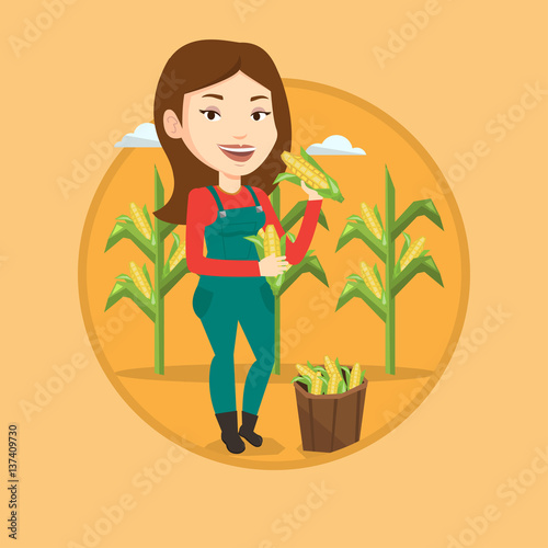 Farmer collecting corn vector illustration.