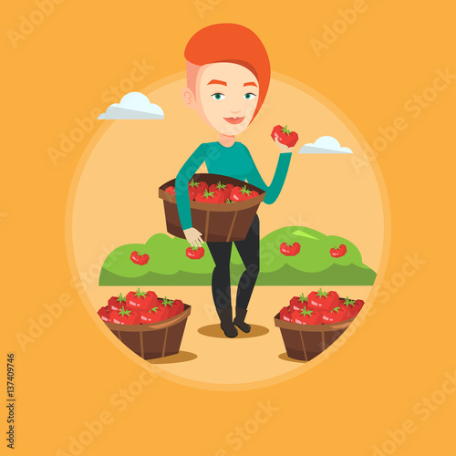 Farmer collecting tomatos vector illustration.