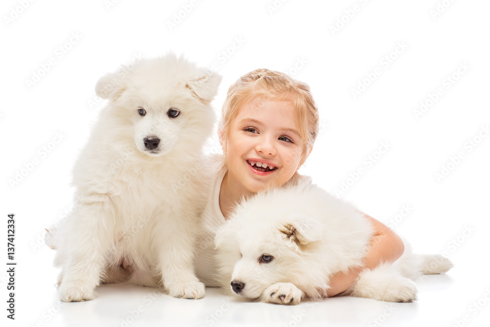Little girl with a samoyed puppies
