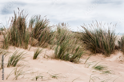 Tusics On A dune. 2. Lake Tyers. © Raymond