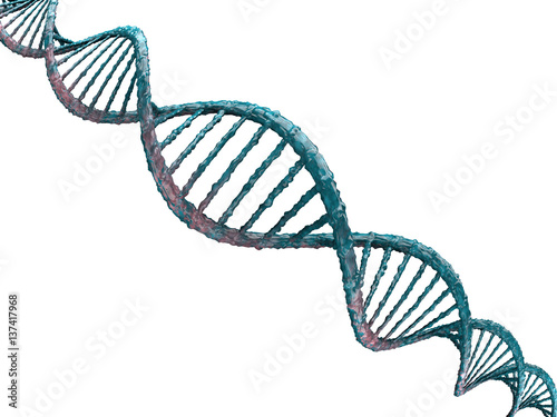 Fototapeta Naklejka Na Ścianę i Meble -  Digital illustration of a DNA model. 3D rendering