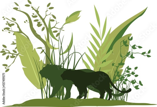 Green vector silhouettes of wildlife, lions in grass