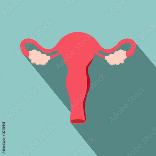 Flat design with shadow icons uterus