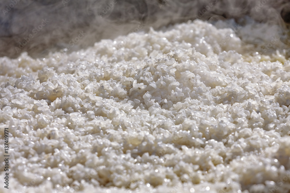 rice rice