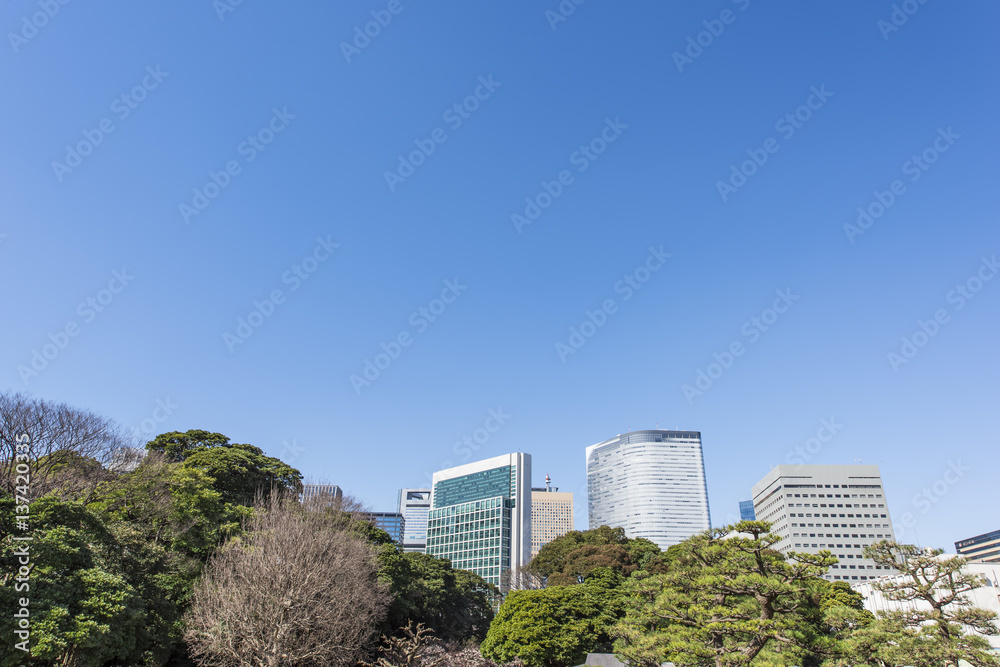 Fototapeta premium 緑の中の高層ビル