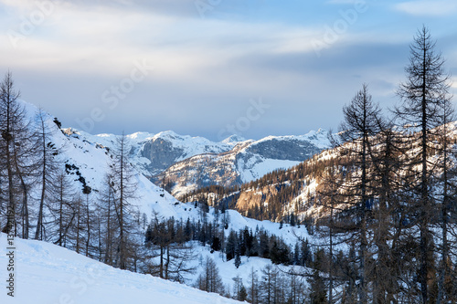 Beautiful winter landscape with snow covered trees