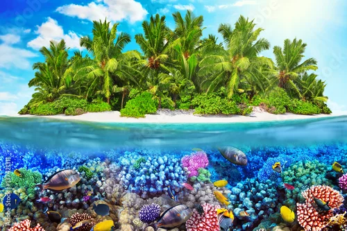 Obraz Tropikalna wyspa na Oceanie i piękny podwodny świat.