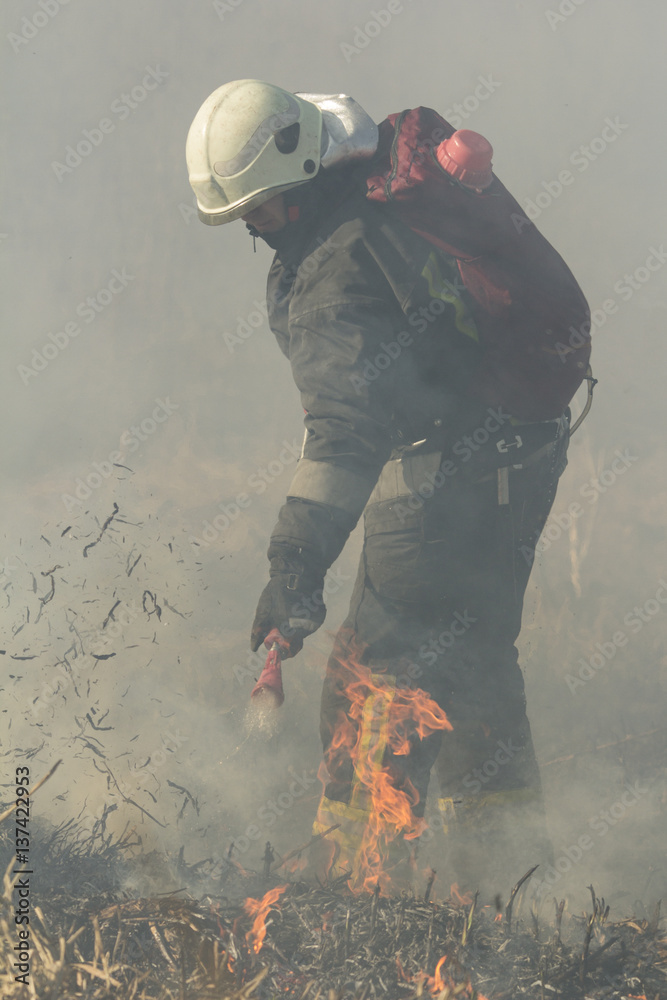 Fototapeta premium picture of firefighters battle a wildfire