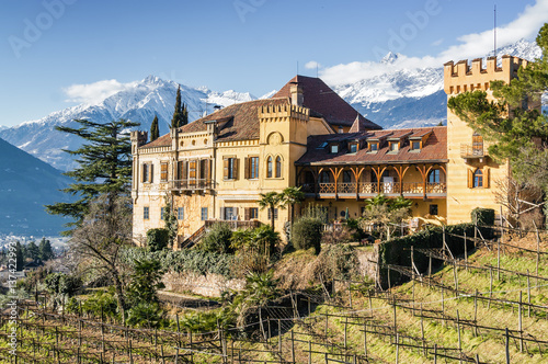 Sunny view of vineyards valley of castle Ramets near Merano, Trentino-Alto-Adige region, Italy.