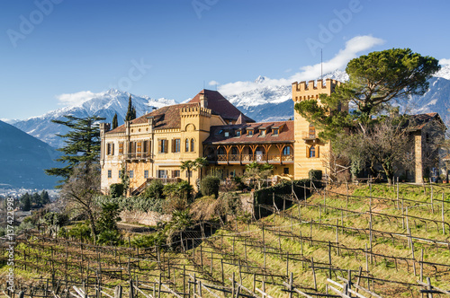 Sunny view of vineyards valley of castle Ramets near Merano, Trentino-Alto-Adige region, Italy.