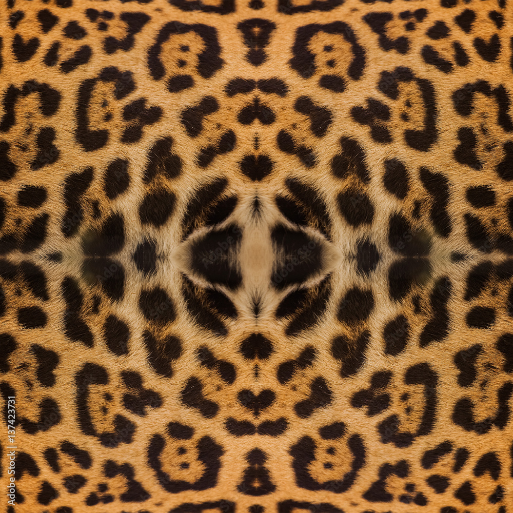 Real Leopard Skin for background and texture Real Leopard Skin for background and texture