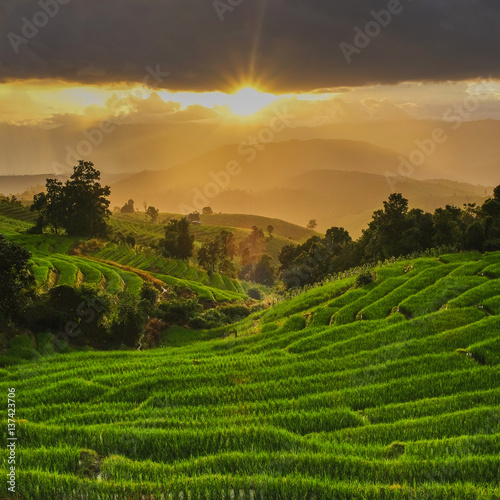 Beautiful sunset over the paddy fields in Pa Pong Pieng , Mae Chaem, Chiang Mai, Thailand.