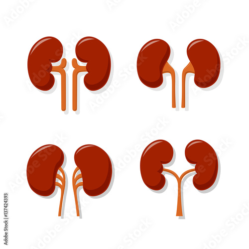 Kidney Collection