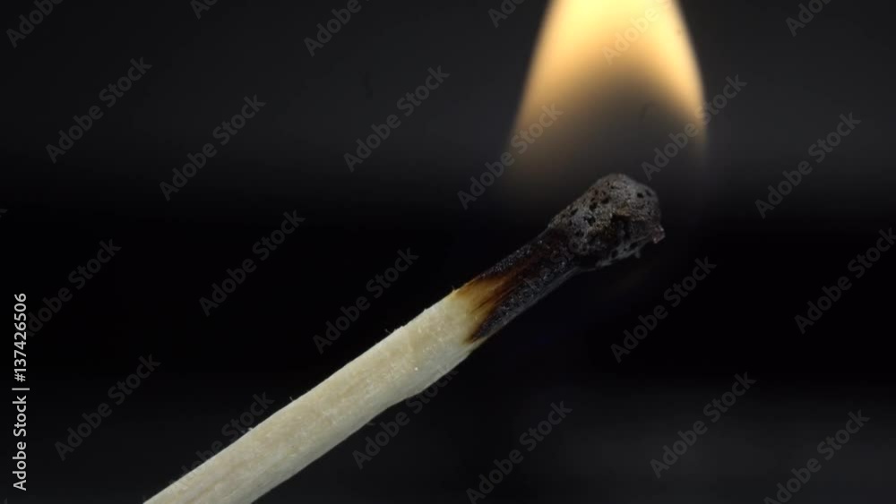 Bright fire on a black background. Bright fire on a black background.