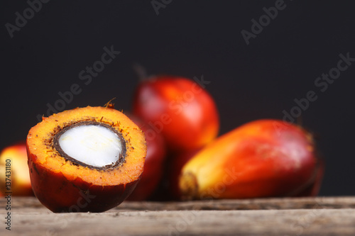 Close up on cut oil palm seed