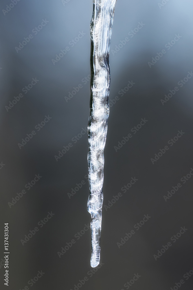 Long icicle with soft blue background Long icicle with soft blue background