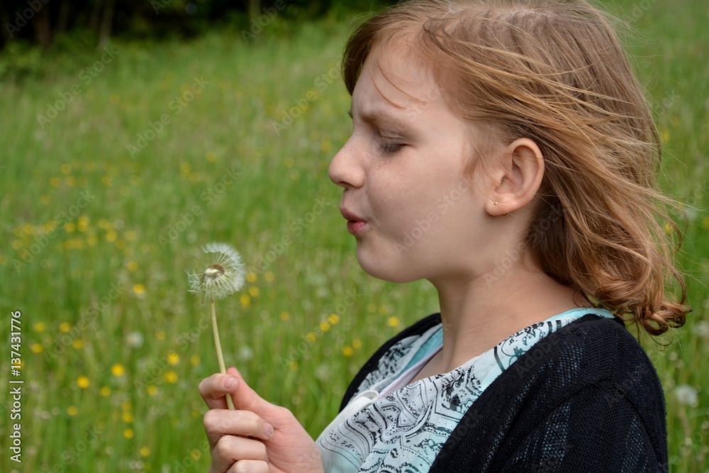 Mädchen bläst Pusteblume auf grüner Wiese Mädchen bläst Pusteblume auf grüner Wiese