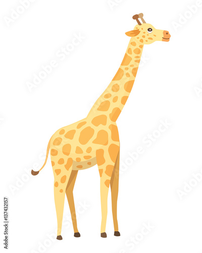 Giraffe cartoon style, vector art and illustration. Safari africa.