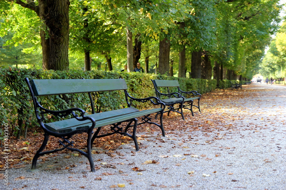 Travel to Vienna, Austria. The benches in the park in the autumn sunny day.