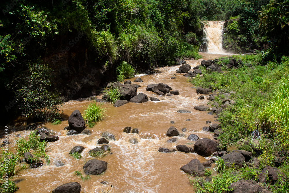 Die Waimea Falls nach starken Regenfällen im Waimea Valley auf Oahu, Hawaii, USA. Die Waimea Falls nach starken Regenfällen im Waimea Valley auf Oahu, Hawaii, USA.