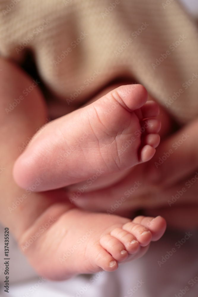 Baby's feet in mother hands closeup. Shallow depth of field. Baby's feet in mother hands closeup. Shallow depth of field.