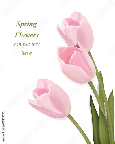 Tulip flowers bouquet greeting card. Spring is coming. Watercolor realistic d...
