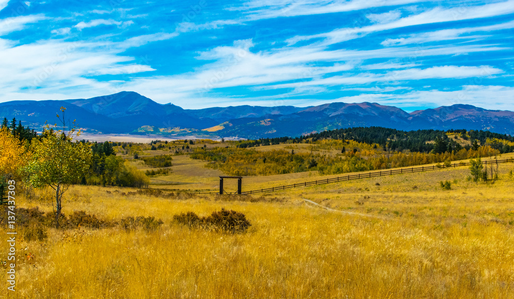 Fototapeta premium Golden Foliage in Autumn, Southpark Colorado 