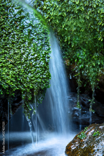 Stream in the forest, waterfalls and stones covered in green moss.