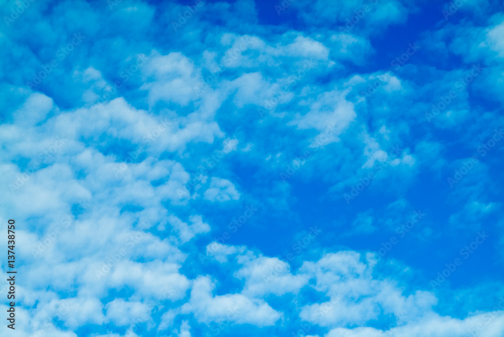 Blue sky background with white fluffy cumulus clouds