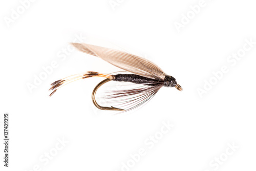 Cut Out of an Artificial Insect Trout Fly
