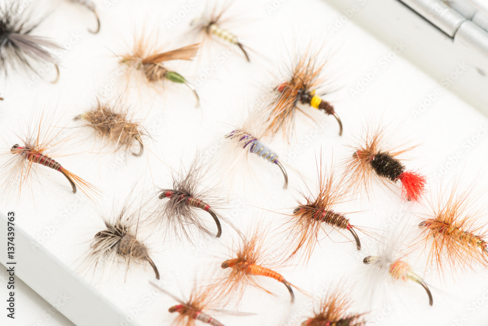 Variety of Fishhooks or Trout Flies in Case