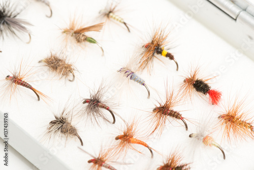 Variety of Fishhooks or Trout Flies in Case