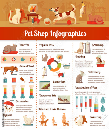 Pet Shop Infographic Set