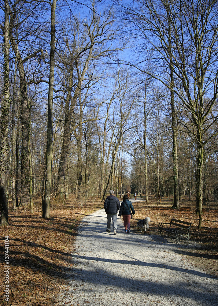 Spaziergang im Park mit Hund