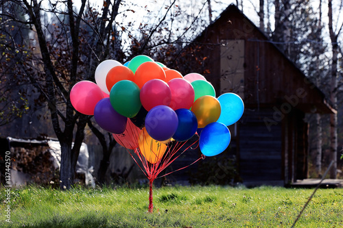 many colorful balloons nature landscape
