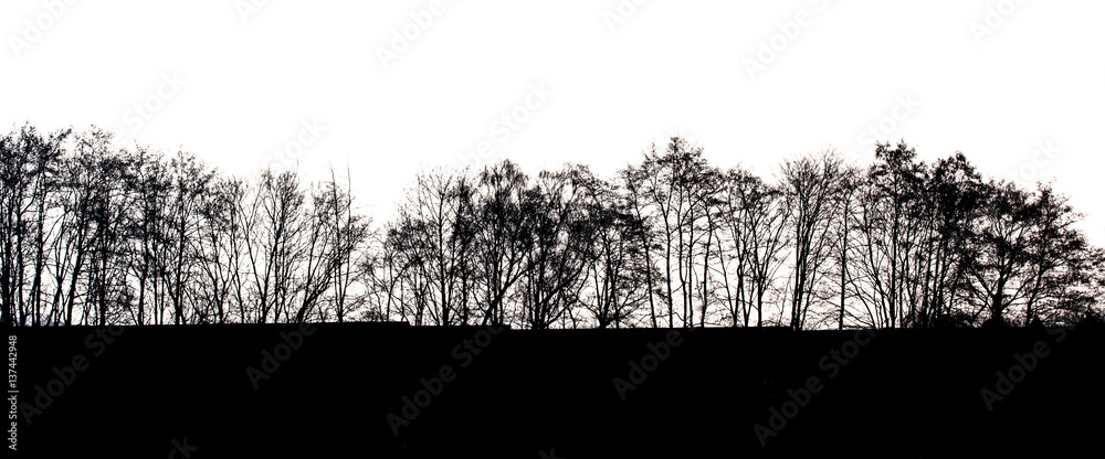 Wald Silhouette
