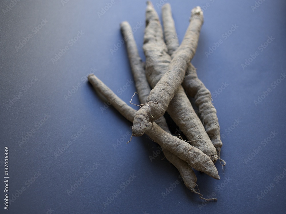 Salsify in a pile isolated on dark background, softly lit by natural light from the side