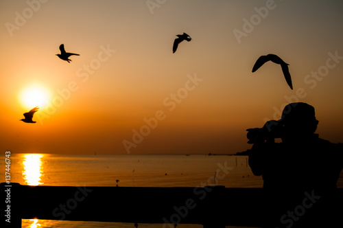 Silhouette Photographer man traveler in neture beach summer sunset and bird beautiful