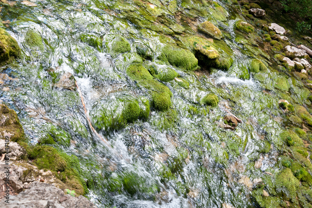 Forest stream running over mossy rocks. The mountain river in Crimea Forest stream running over mossy rocks. The mountain river in Crimea