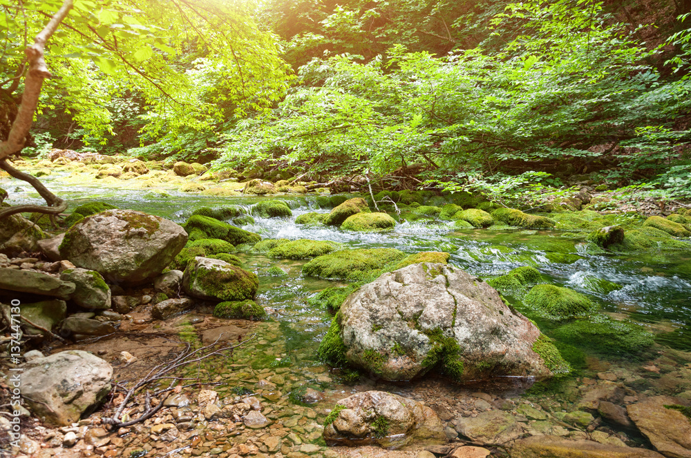 Forest stream running over mossy rocks. The mountain river in Crimea Forest stream running over mossy rocks. The mountain river in Crimea