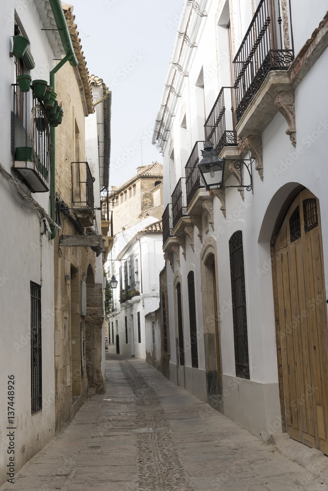 Fototapeta premium Cordoba (Andalucia, Spain): street