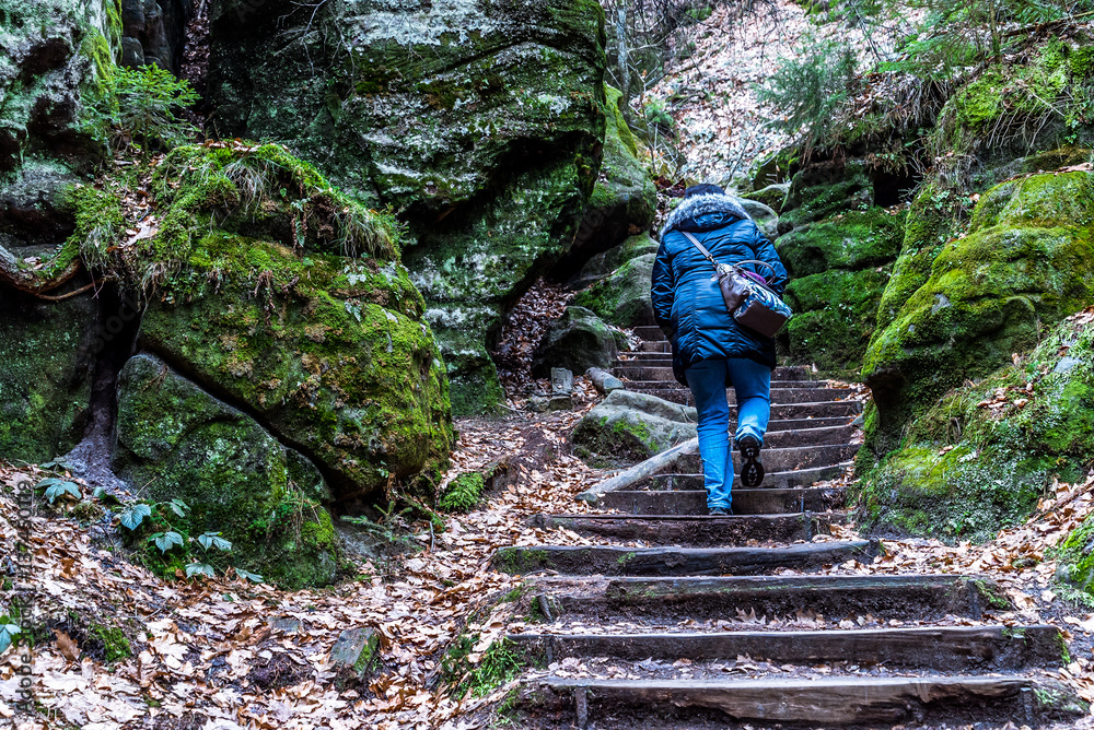 Φωτογραφία Junge Frau spaziert auf Treppe durch felsige Waldlandschaft im Elbsandsteingebir