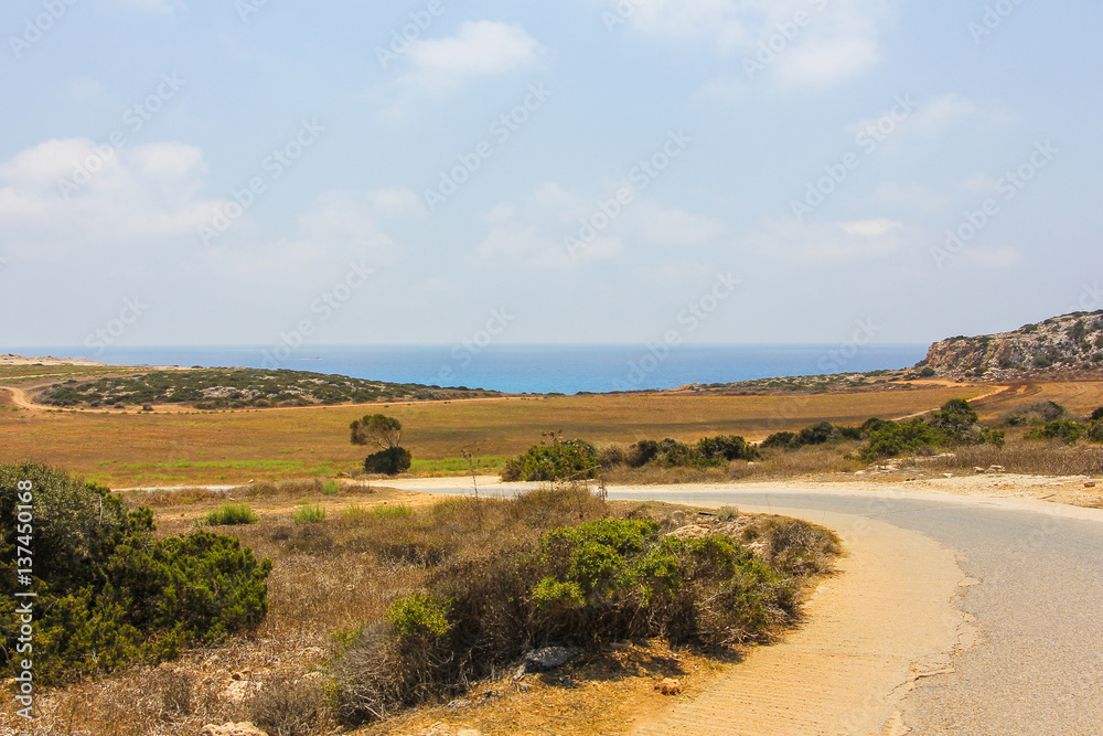 Asphalt road in the desert fields, Cyprus