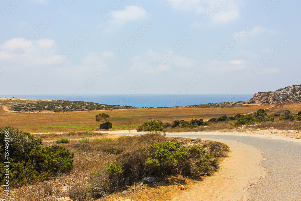 Asphalt road in the desert fields, Cyprus Asphalt road in the desert fields, Cyprus