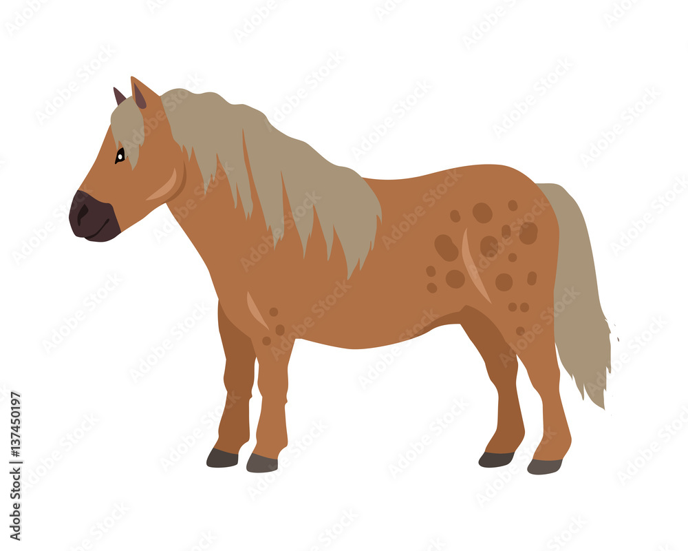 Red Pony Vector Illustration in Flat Design