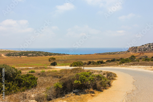 Asphalt road in the desert fields  Cyprus