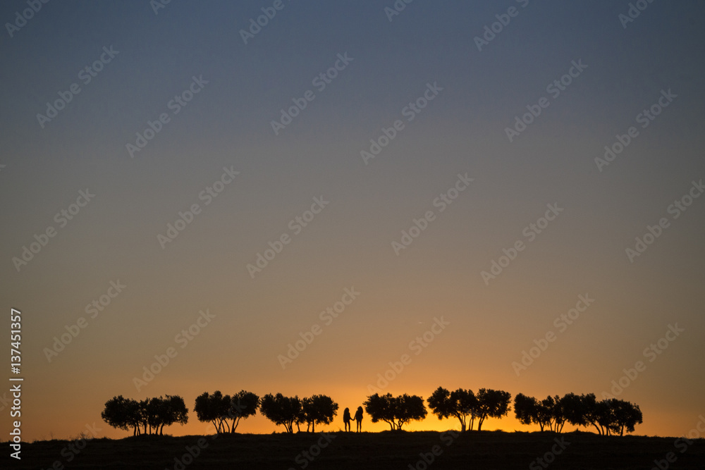 amor, pareja, atardecer, arboles, sombras, naranja , arboles, contraluz