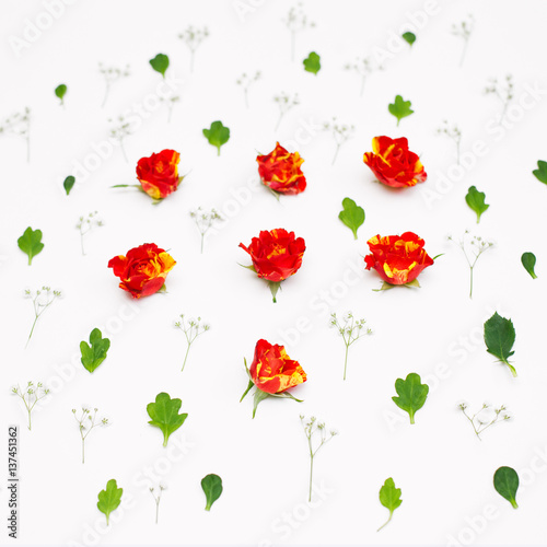 Flowers composition with roses and leaves on white background. Flatlay  top view  square. 