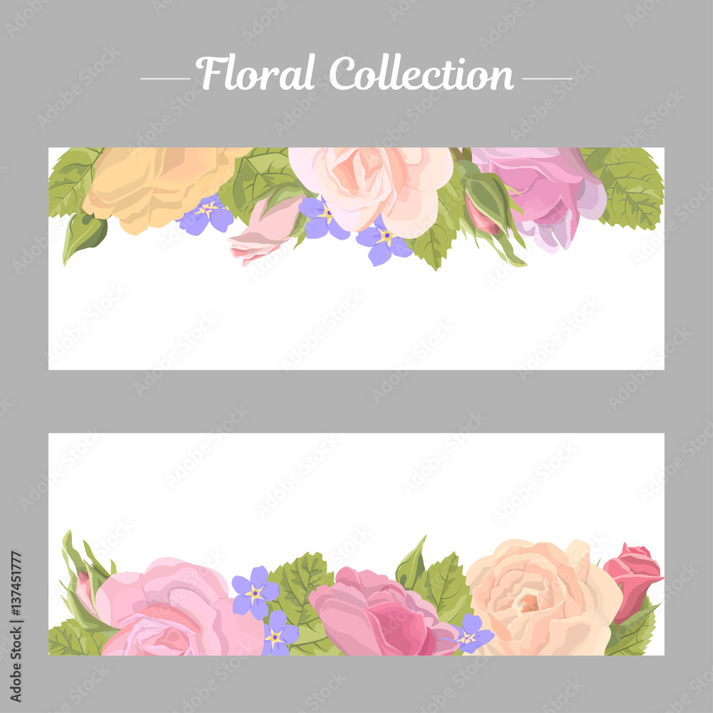Set narrow floral romantic horizontal border with rose on white background. Delicate flower, buds, leaves, roses, banner for website or card for greetings valentine or wedding, vector illustration